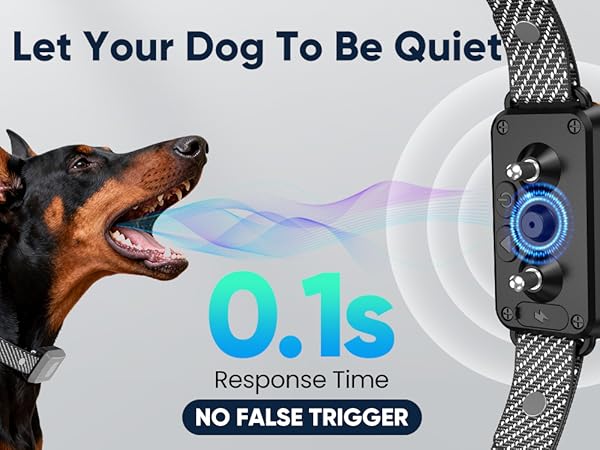 bark collar