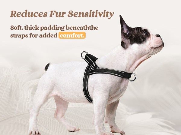 dog harness