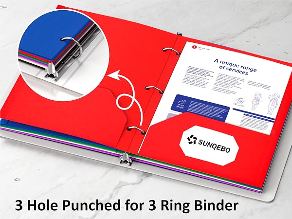 3 Hole Punched folders