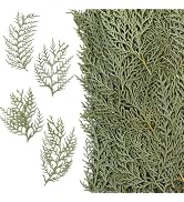 Jtoder Real Pressed Pine Leaves Branches for Christmas Crafts, Natural Dried Botanicals for Resin...