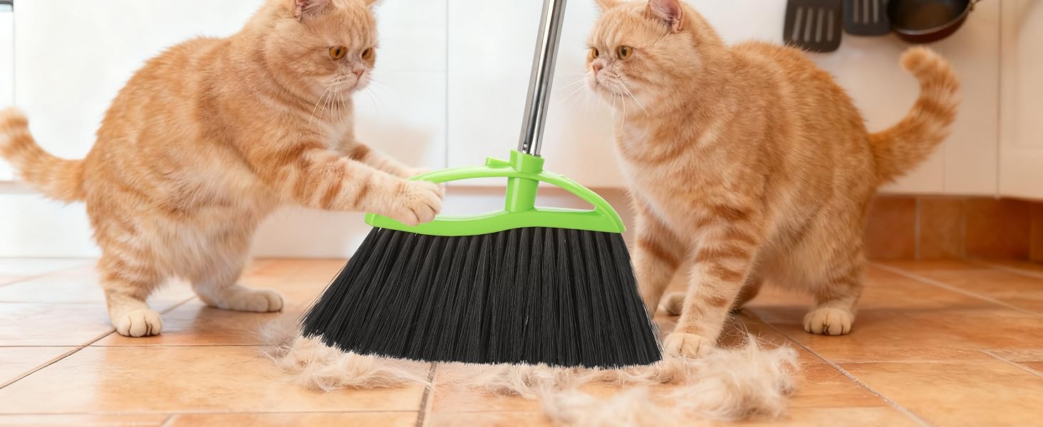 pet hair broom