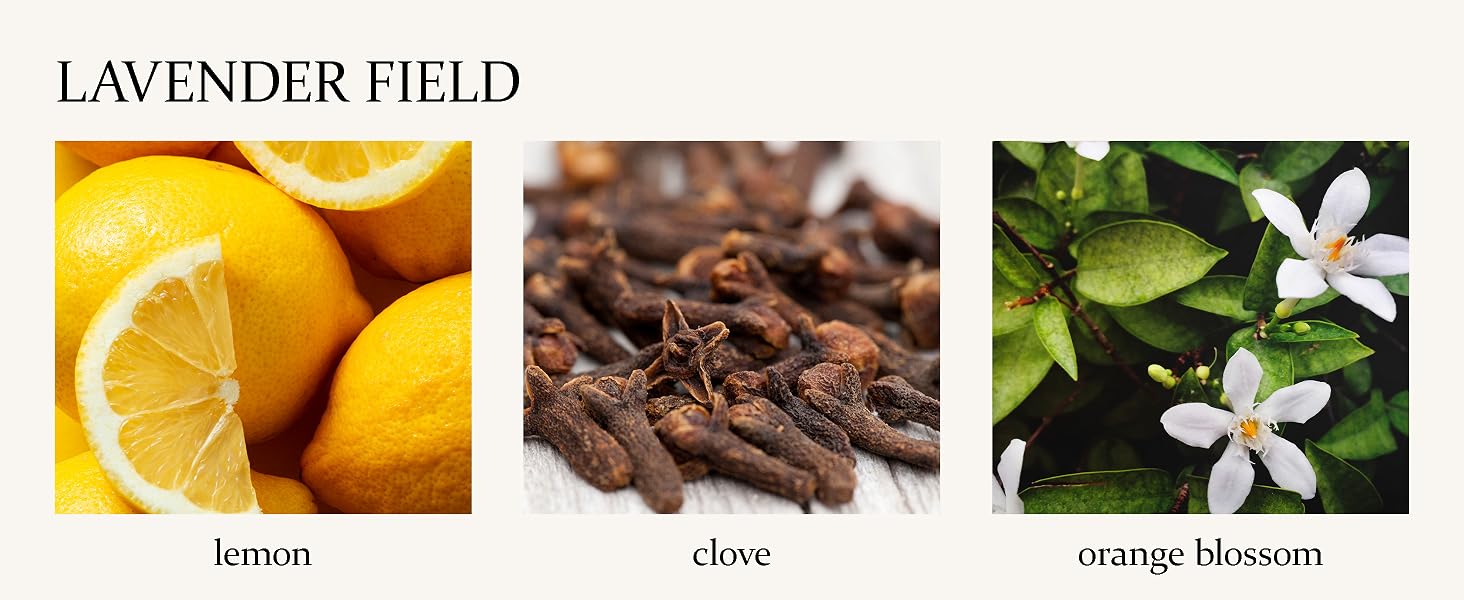reed diffuser