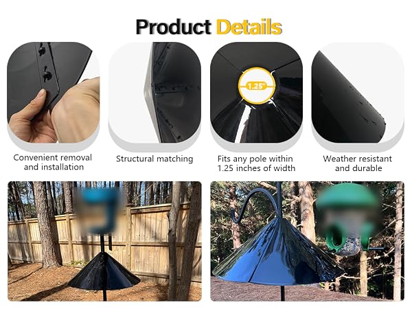 Product Details