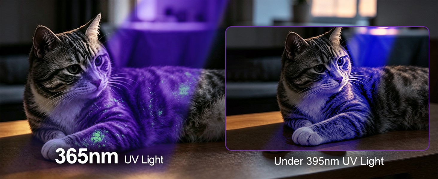blacklight flashlight