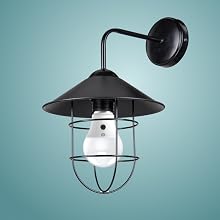 Step 1: Insert bulb into fixture.