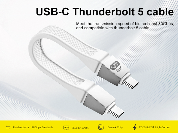 short usb c cable