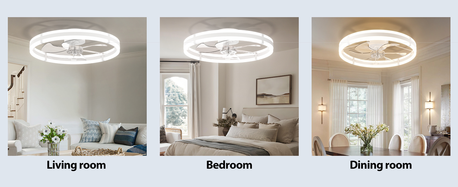 Ceiling fan