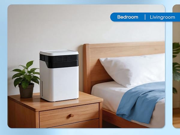 Dehumidifier