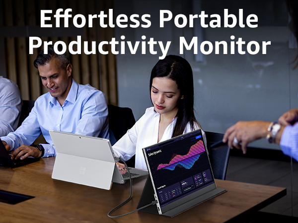 monitor portable