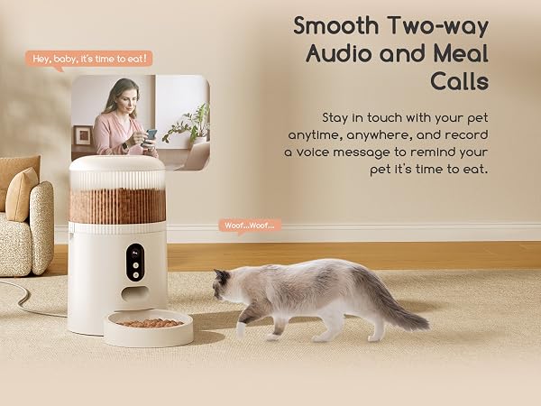 two-way audio