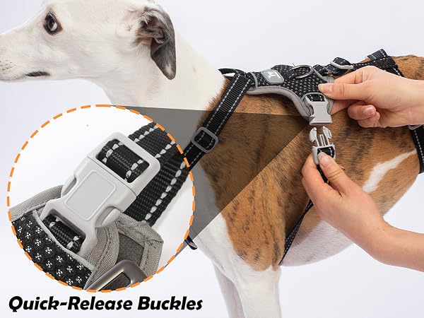 escape proof dog harness