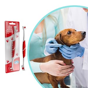 Pet toothbrush