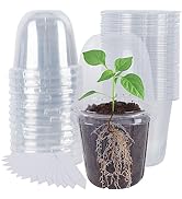 winemana 36 Set Nursery Pots with Humidity Dome, Clear Nursery Pots for Plants, Seed Starting Pot...