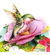 Hierein Birthday Cards for Women, Hummingbird Pop Up Cards Birthday Gifts for Mom, Wife, Grandma,...