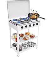 5 Burner Gas Grill, 2.5kw Natural Gas Stove Outdoor Camping BBQ StoveGas Cooker with 2 Tier Stora...