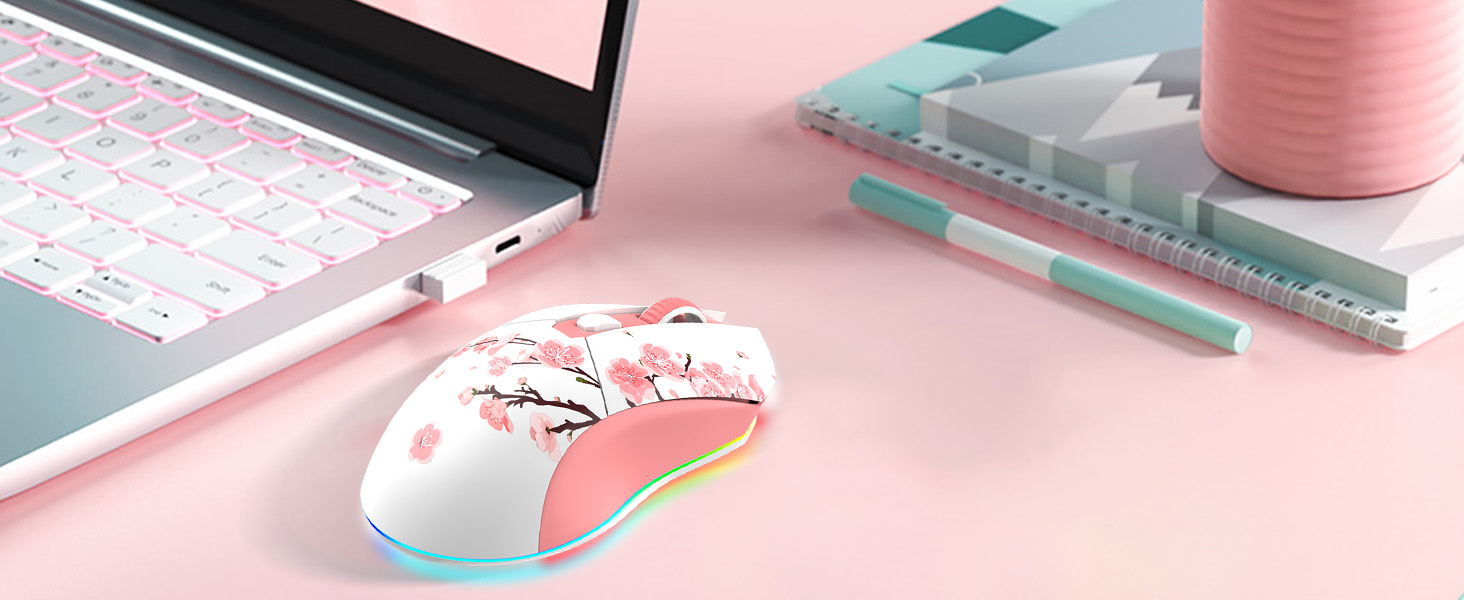 Wireless Connect