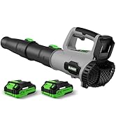 LEAPUL Leaf Blower Cordless, 21V Electric Leaf Blower with 2×2.0Ah Batteries & 1 Fast Charger, Li...