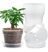 12 Pack 7 Inch Clear Nursery Pots with Saucer, Transparent Plastic Plant Pots with Drainage Holes...