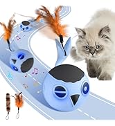 ORSDA Cat Toys, Interactive Cat Toy for Indoor Cats Automatic Moving Ball Bird for Bored Indoor A...