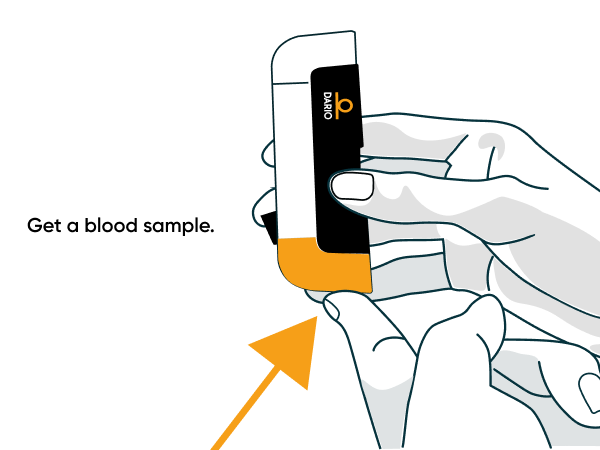Get a Blood Sample