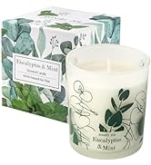 ROMIIE ZOI Scented Candle - Eucalyptus & Mint - 6oz Aromatherapy Soy Wax Jar Candle for Home, Gif...