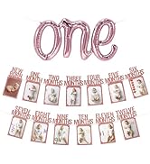 1st Birthday Photo Banner Rose Gold and ONE Letter Balloon for Girls' One Year Old Party Decorati...
