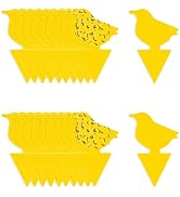 Carbelina Fruit Fly Traps for Indoors Sticky, Gnat Traps for House Indoor Plants, Fungus Gnat Sti...