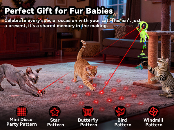 automatic cat toy