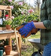 Woman gloves