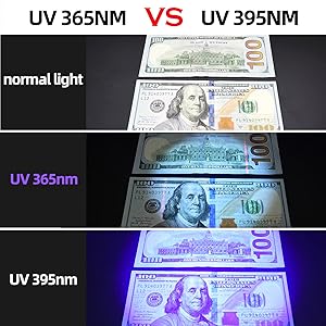 DD-365VS395