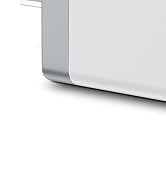 Aioneus