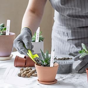 plant labels