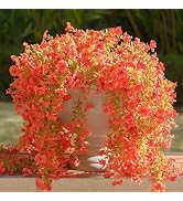 Rowfad 12 Pcs Artificial Hanging Mums Flowers Outdoor, Orange UV Resistant Fake Hanging Fall Plan...