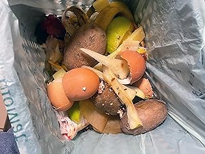 Compost bin with bag that shows food waste