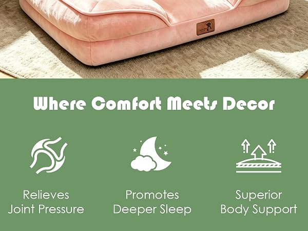 Dog Sofa Beds