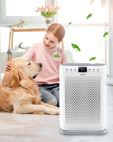 air purifier
