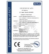 Split screen endoscope