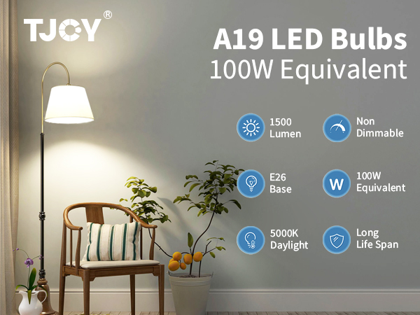light bulbs