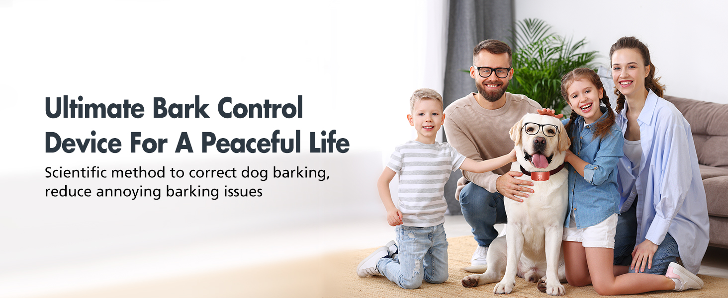 no bark collar