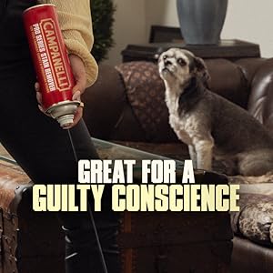 Great for Pets