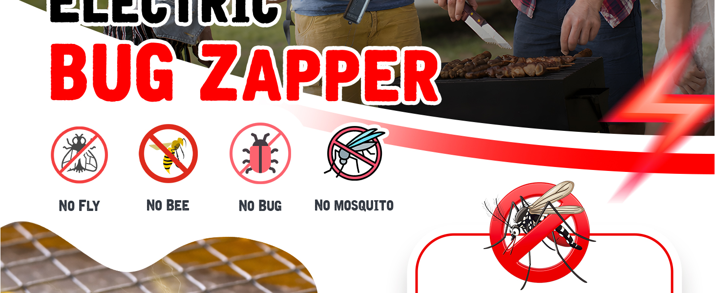 Electric Fly Swatter