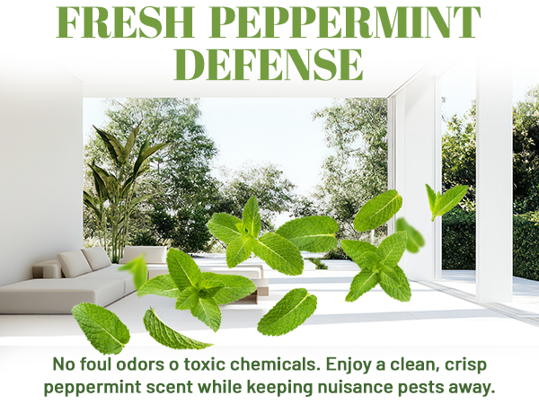 natural peppermint animal repellent spray