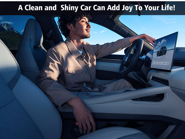 Car Detailing Brush