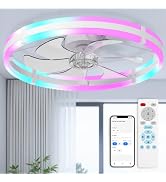 addlon 24'' RGB Ceiling Fans with Lights, Remote/APP Control, Modern Fandelier Flush Mount Low Pr...