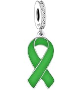 BSFJTY 925 Sterling Silver Charms, Pink Purple Blue Green Ribbon Cancer Loss Survivor Faith Menta...