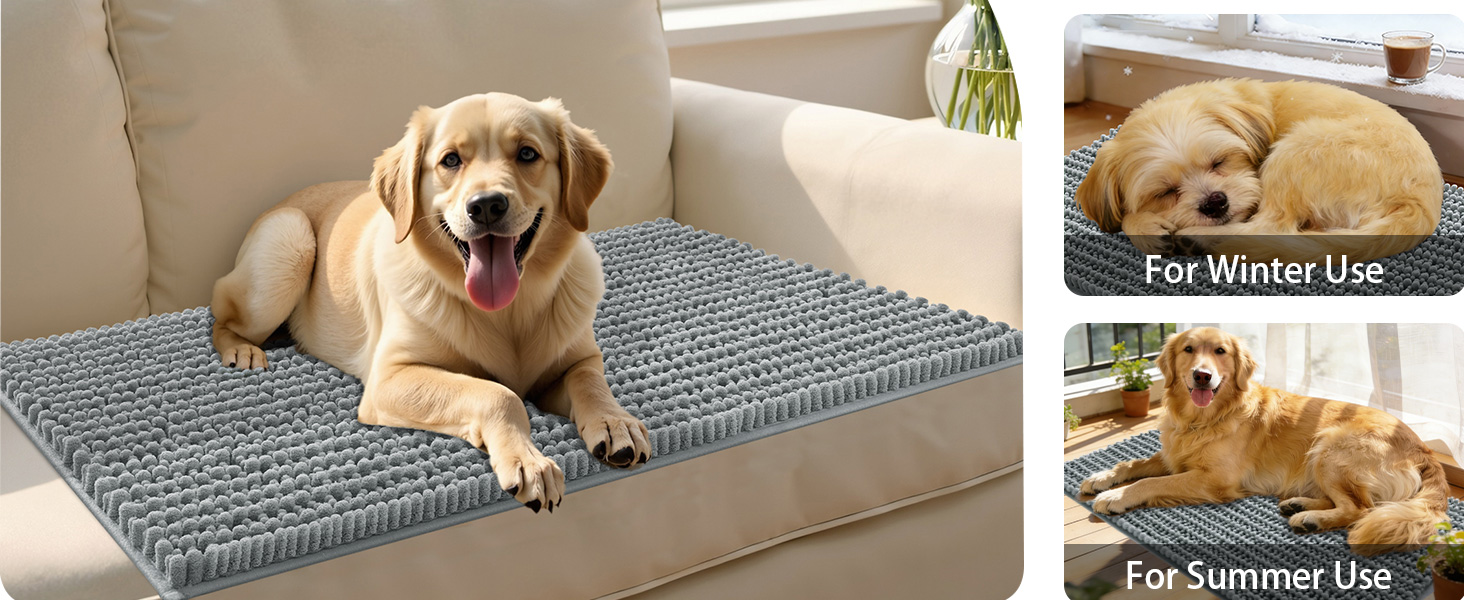Dog Door Mat