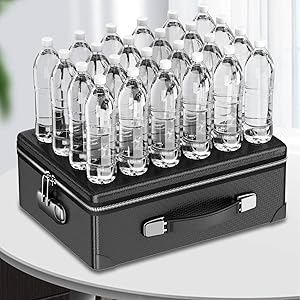 file organizer