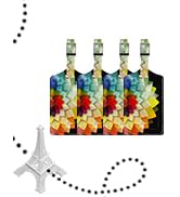 4 pack luggage tags
