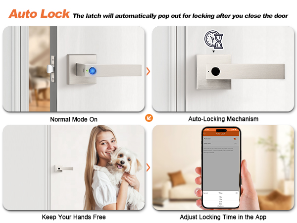 smart door handle