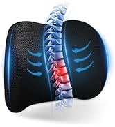 Dijialun Lumbar Support Pillow for Car, Memory Foam Back Support Lumbar Pillow for Car, Gaming, O...